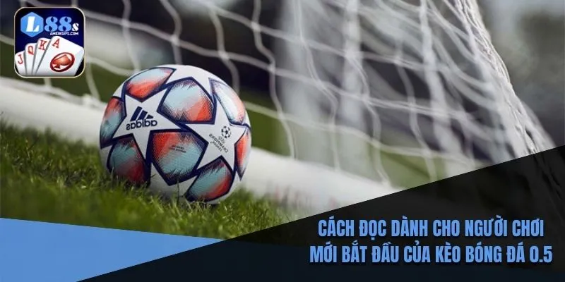 Cách đọc chi tiết dành cho người chơi mới bắt đầu của kèo bóng đá 0.5